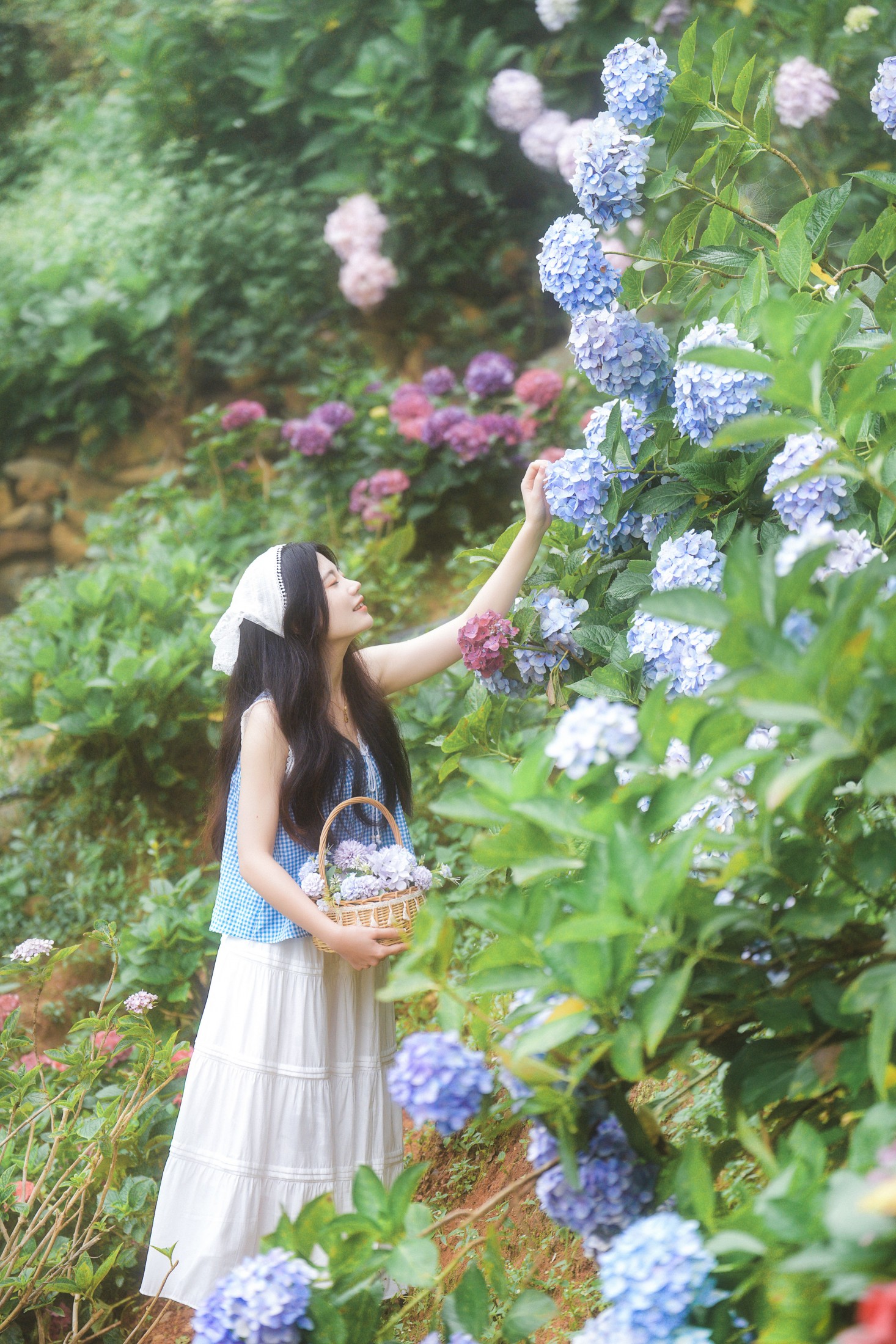 阿咩 – 《日系人像拍摄-绣球花》[19P]